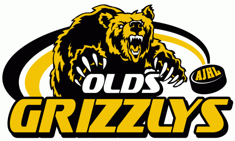 Olds Grizzlys 2001-Pres Primary Logo iron on transfers for clothing
